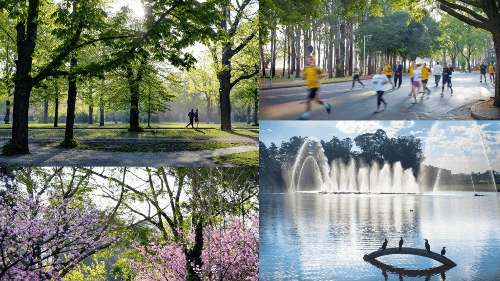 Parque Ibirapuera com 4 fotos de localizações distintas dentro do Parque, mostrando arvores, um lago, pessoas correndo, arvores e flores